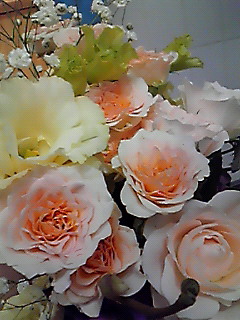 201010312145000.jpg