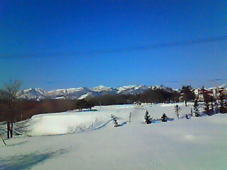 201102150824001.jpg