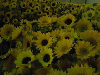 1305036830405.jpg