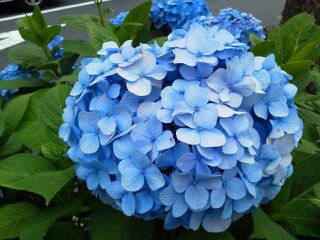 1308121437707.jpg