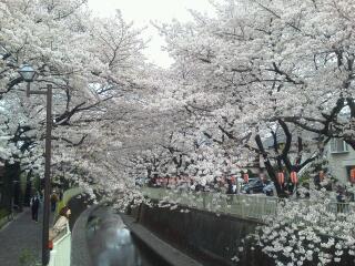 rps20120413_023208.jpg