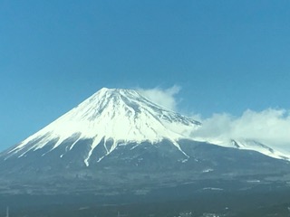 image1.JPG