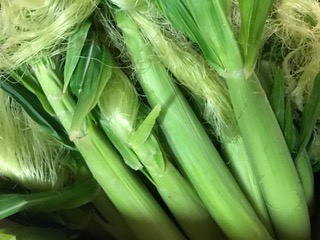 image1.JPG