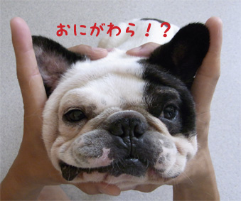 おにがわら!?