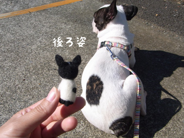 羊毛力石