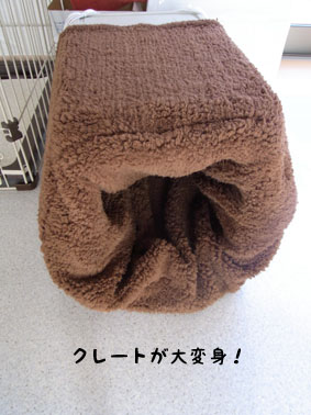 おいらの寝床