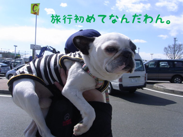 初旅行