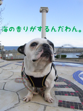 初旅行