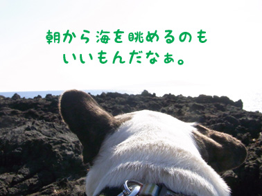 初旅行
