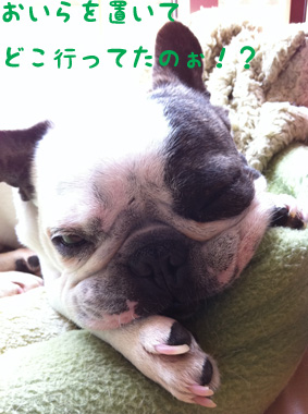 どこ行ってたのぉ!?