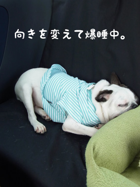 おニューの服着て