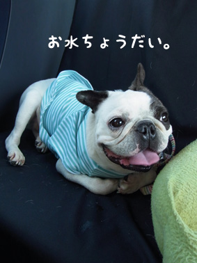 おニューの服着て