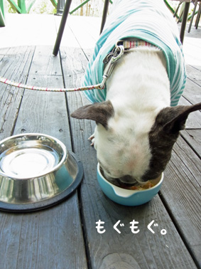 河口湖へ