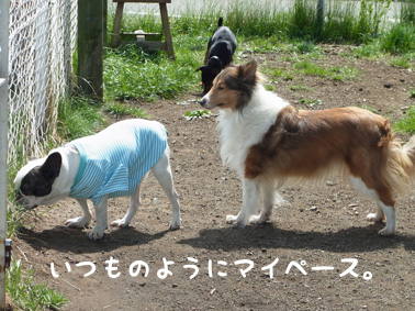 河口湖へ