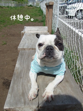 河口湖へ