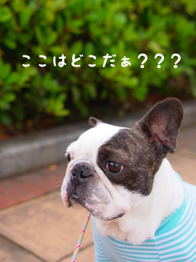 横浜へ