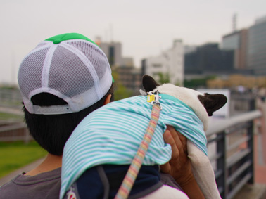 横浜へ