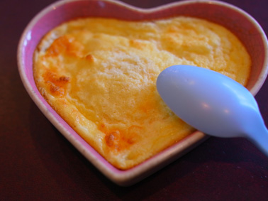 ドッグカフェで