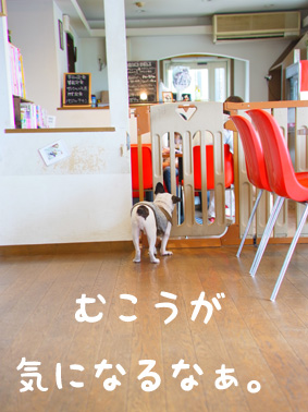 ドッグカフェで