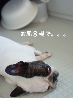 お風呂場で