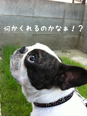 今日のおいら(2011.7.12)