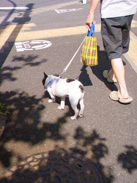 家族でお散歩