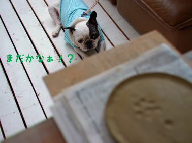 伊豆旅行