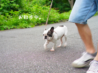 伊豆旅行