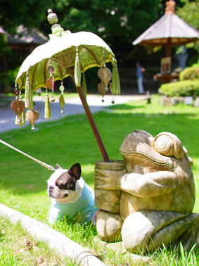 伊豆旅行