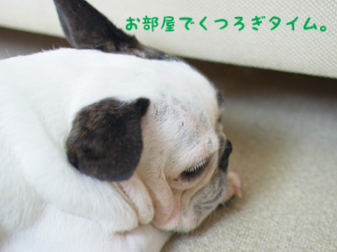 伊豆旅行
