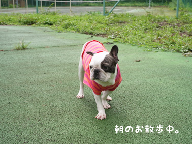 伊豆旅行