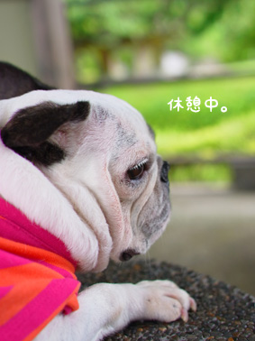 伊豆旅行