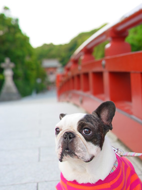 伊豆旅行