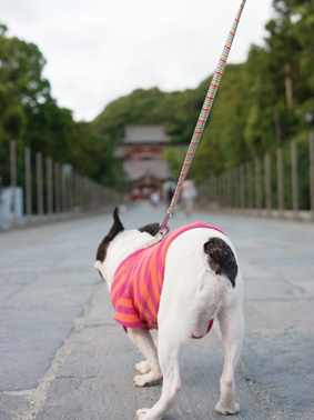 伊豆旅行