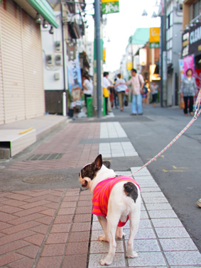 伊豆旅行