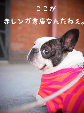 横浜へ