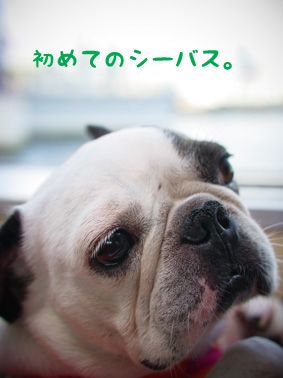 横浜へ