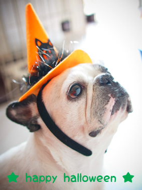 ハロウィン