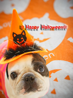 ハロウィン