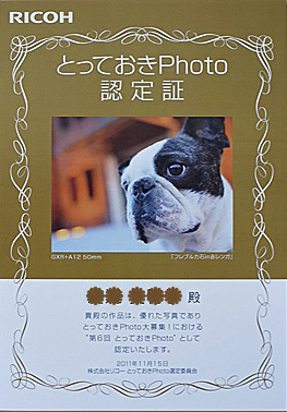 認定書