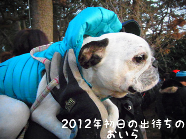 2012年の始まり