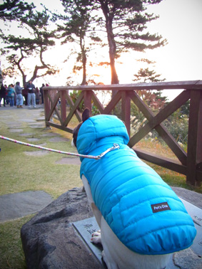 2012年の始まり