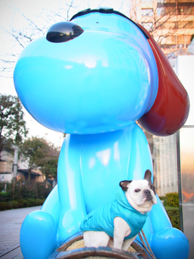 フジテレビ
