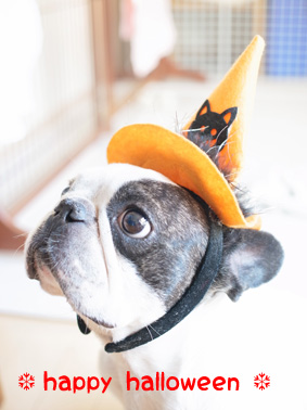ハロウィン