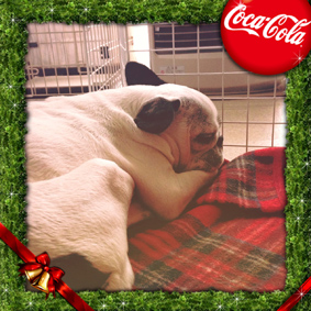 2012年クリスマス