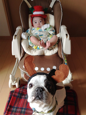 2012年クリスマス