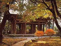 開善寺