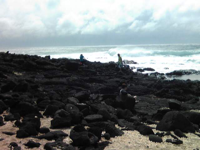 Image3721.jpg
