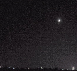 Image6161.jpg