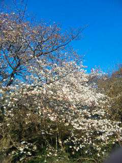 110406_165121.jpg